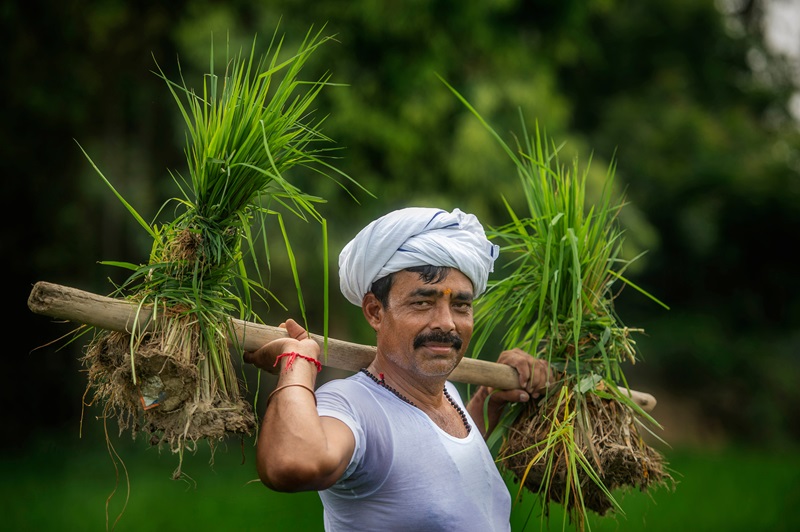 rural content Production